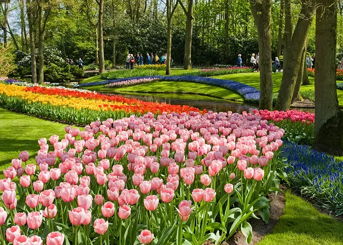 keukenhof